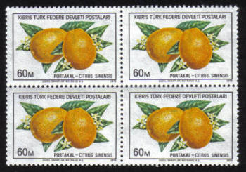 North Cyprus Stamps SG 032 1976 60m - Block of 4 MINT