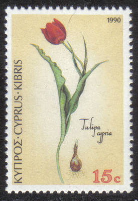 Cyprus Stamps SG 789 1990 15 cent Tulipa cypria - MINT