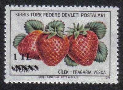 North Cyprus Stamps SG 075 1979 1 TL Surcharge - MINT