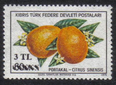 North Cyprus Stamps SG 076 1979 3 TL Surcharge - MINT