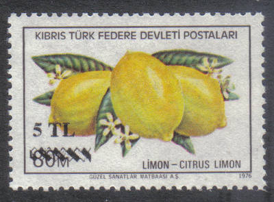 North Cyprus Stamps SG 077 1979 5 TL Surcharge - MINT
