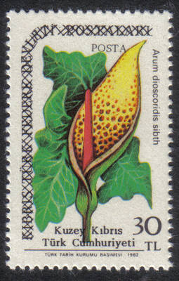 North Cyprus Stamps SG 207 1987 30 TL - MINT