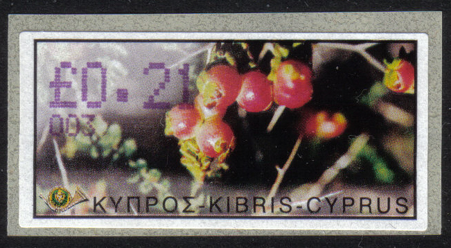 Cyprus Stamps 075 Vending Machine Labels Type E 2002 Nicosia (003) 