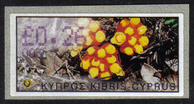 Cyprus Stamps 078 Vending Machine Labels Type E 2002 Nicosia (003) 