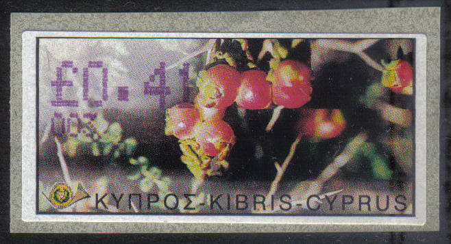 Cyprus Stamps 090 Vending Machine Labels Type E 2002 Nicosia (003) "Sarcopoterium Spinosum" 41 cent - MINT 