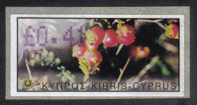 Cyprus Stamps 210 Vending Machine Labels Type E 2002 Larnaca (007) 