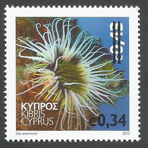 Cyprus Stamps SG 1362 2015 34c Overprint on 43c Sea Anemone Marine Stamp - MINT