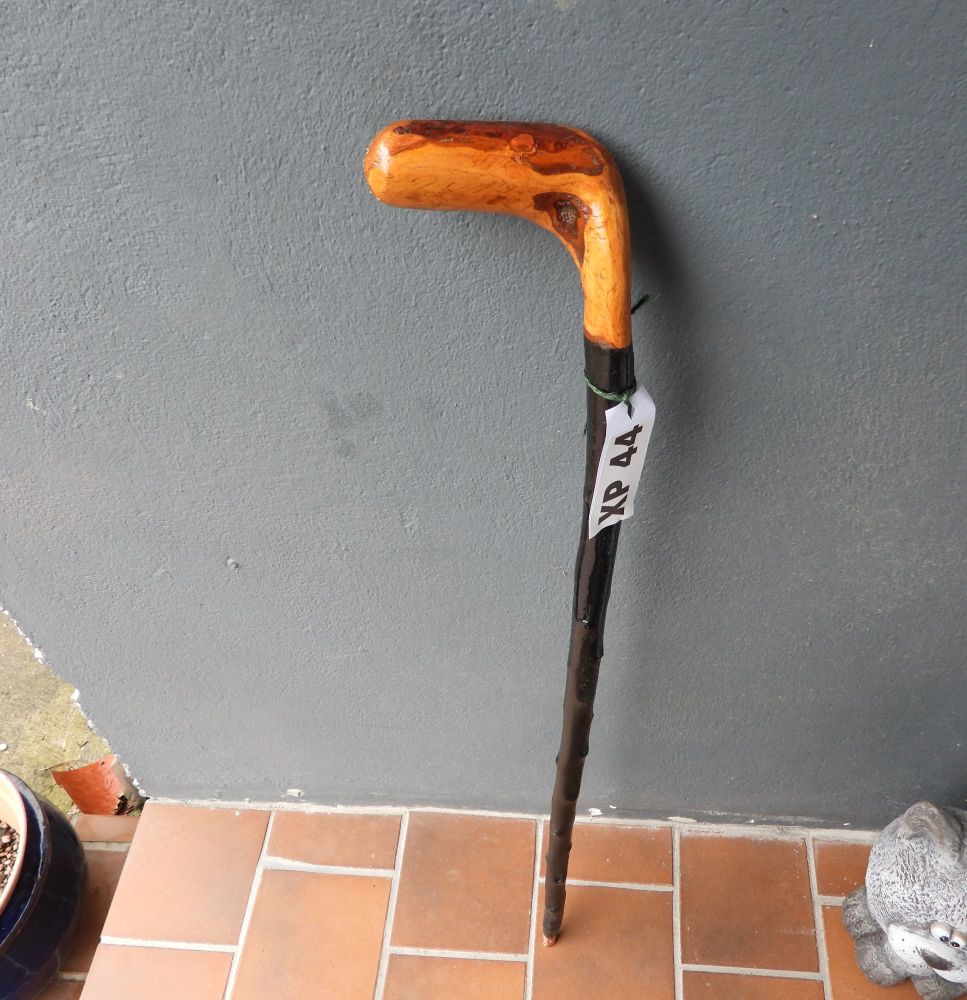 IRISH BLACKTHORN WALKING STICK XP44