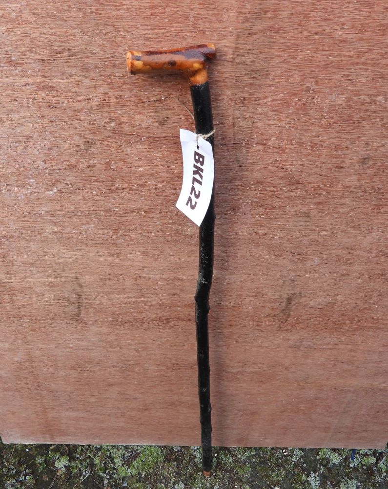 BLACKTHORN WALKING STICKS Shop