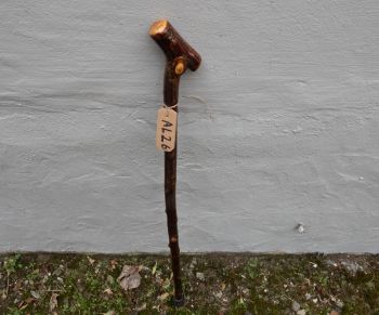 Irish  Blackthorn walking stick AL26 