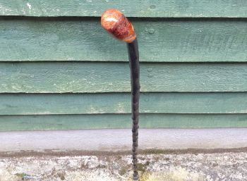 Irish blackthorn walking stick B11