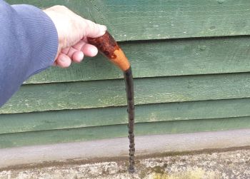 IRISH BLACKTHORN WALKING STICK F5