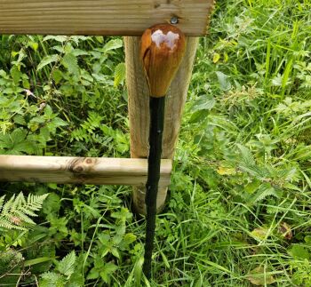 IRISH BLACKTHORN WALKING STICK SKu206EW