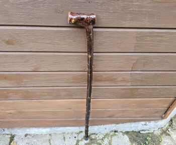 CLASSIC IRISH BLACKTHORN WALKING STICK SKu208ew