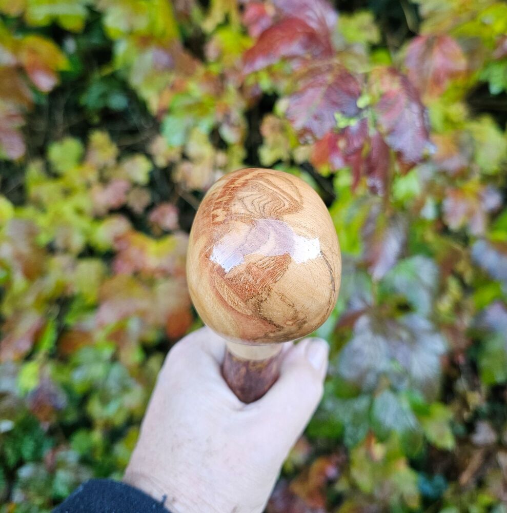 CLASSIC IRISH BLACKTHORN WALKING STICK SKu228ew