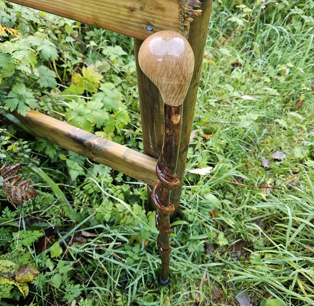 A rare twisty Irish blackthorn walking stick with an Irish ash handle sku23