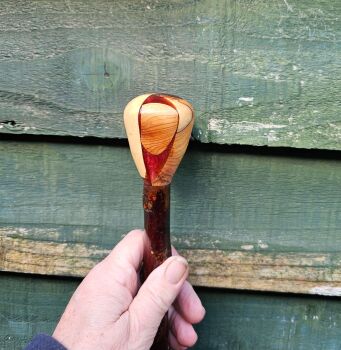 IRISH BLACKTHORN WALKING STICK hiking with a yew and resin handle