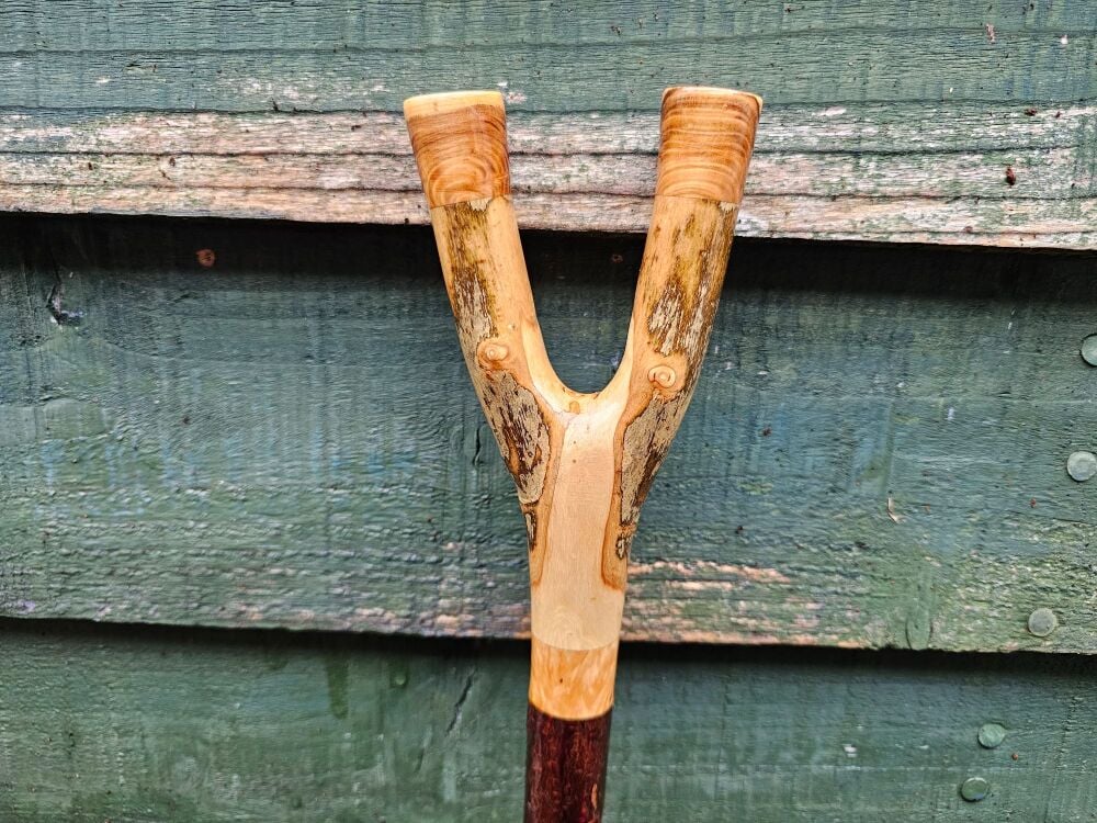 Irish blackthorn thumb stick with an ash handle and burr birch spacer + 2 b