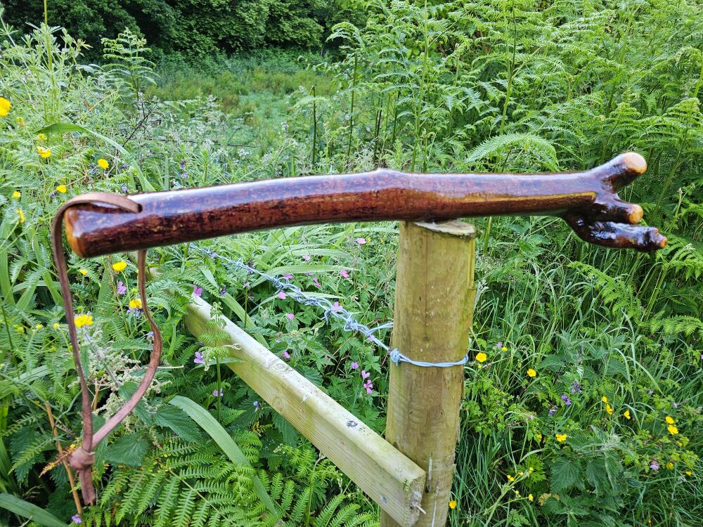 UNIQUE IRISH BLACKTHORN SHILLELAGH AL24