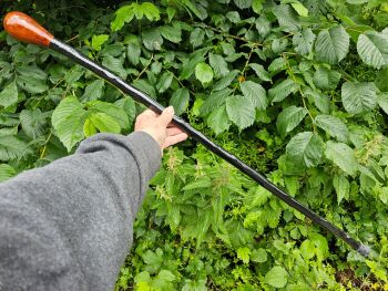 IRISH BLACKTHORN WALKING STICK hiking stick 38 inches long sku335ew