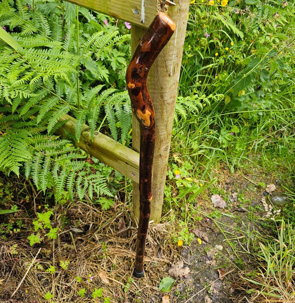 IRISH BLACKTHORN WALKING STICK sku336ew