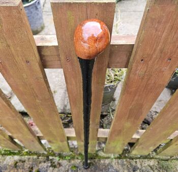 A STUNNING IRISH BLACKTHORN WALKING STICK