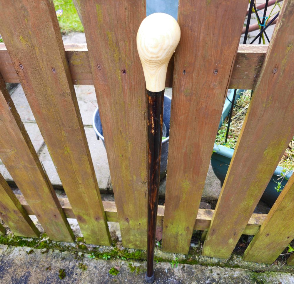 IRISH SILVER BIRCH WALKING STICKS