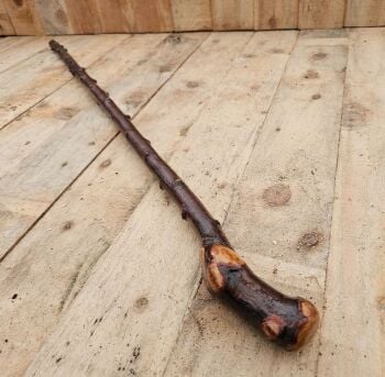 A VERY THORNY IRISH BLACKTHORN WALKING STICK 426E