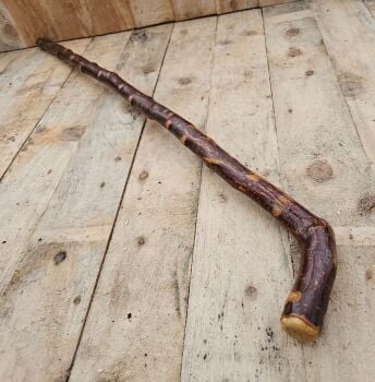 A RUSTIC IRISH BLACKTHORN WALKING STICK 427EW