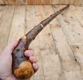 A STUNNING IRISH BLACKTHORN WALKING STICK 436EW