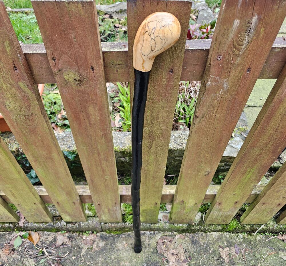 IRISH BLACKTHORN WALKING STICK WITH A SPALTED BEECH HANDLE 463EW