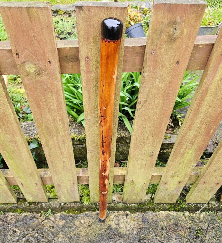 IRISH BLACKTHORN WALKING STICK WITH A 5000 YEAR OLD IRISH BOG OAK TOP 488EE