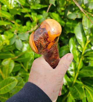 38 INCH IRISH BLACKTHORN WALKING STICK 494EW