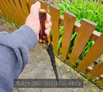 48 INCH IRISH BLACKTHORN HIKING STICK 509EW