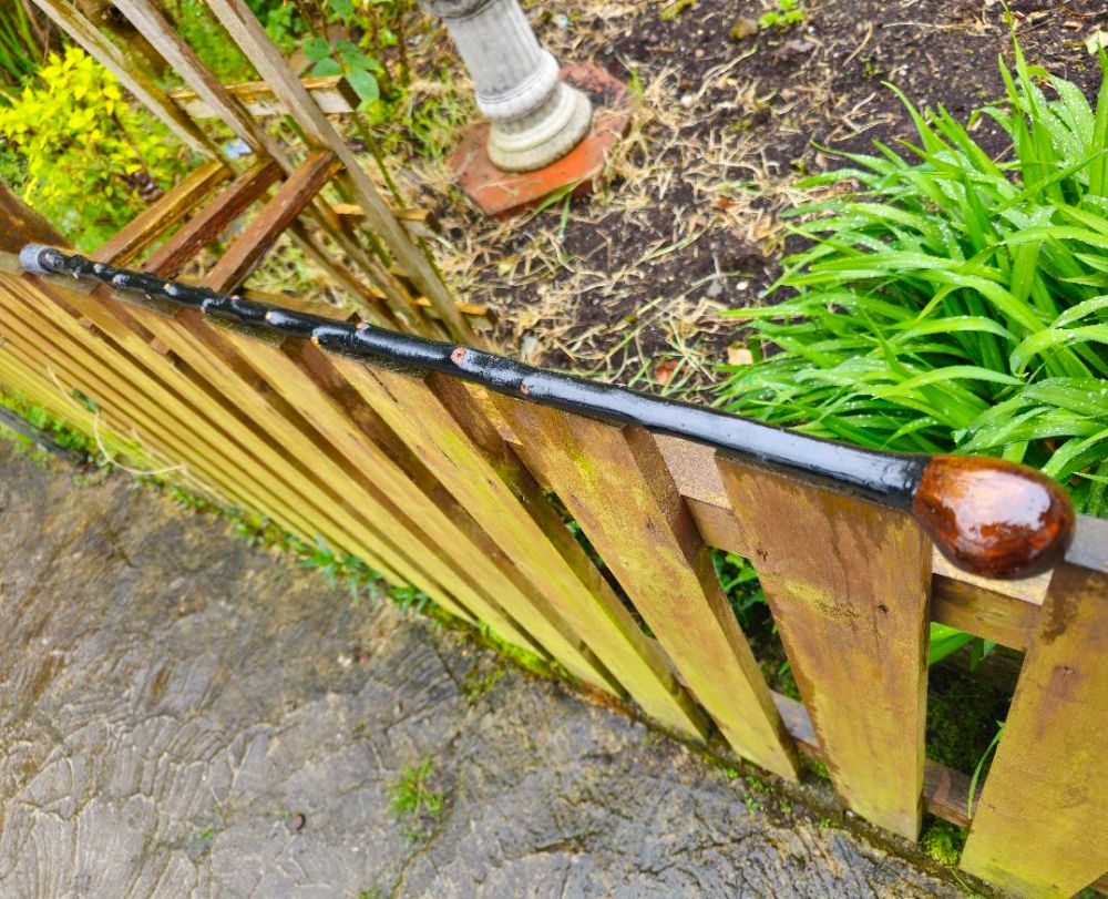 LIGHTWEIGHT IRISH BLACKTHORN WALKING STICKS