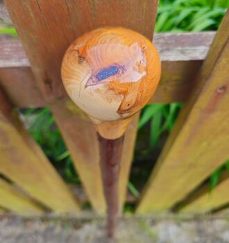 IRISH BLACKTHORN WALKING STICK WITH AN IRISH YEW HANDLE 514EW