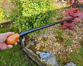 GENUINE IRISH BLACKTHORN WALKING STICK 539EW