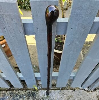 IRISH BLACKTHORN WALKING STICK 540EW