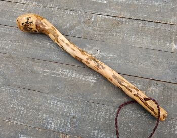 IRISH HOLLY CUDGEL 541EW