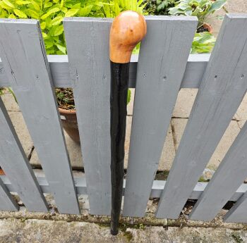 HEAVY IRISH BLACKTHORN WALKING STICK 542EW
