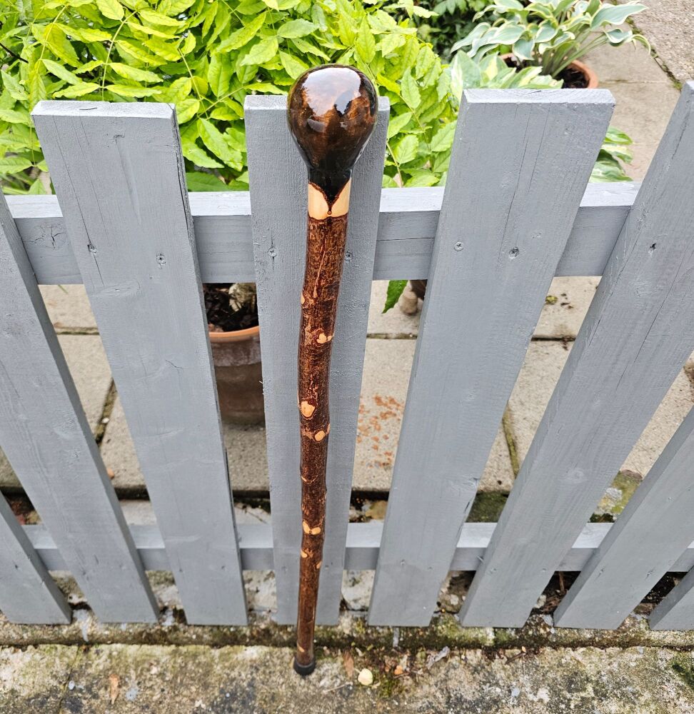 A VERY RARE IRISH SILVER BIRCH WALKING STICK 549EW