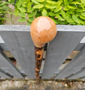 A BEAUTIFUL RARE IRISH SILVER BIRCH WALKING STICK 550EW