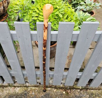 40 INCH IRISH SILVER BIRCH WALKING STICK 551EW