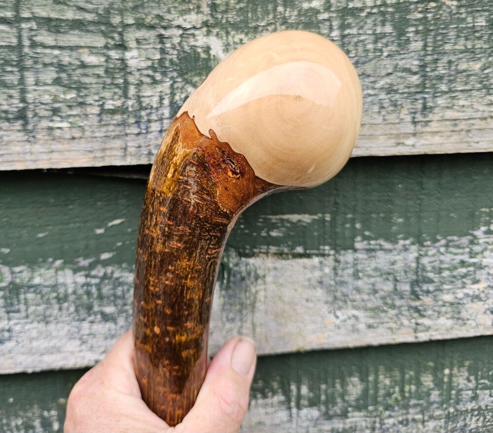 IRISH HAZEL WALKING STICK 557AL
