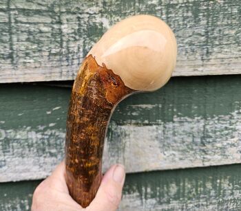 IRISH HAZEL WALKING STICK 557AL
