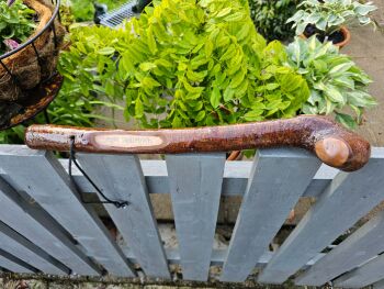 IRISH BLACKTHORN SHILLELAGH/CUDGEL