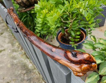 HEAVY IRISH BLACKTHORN SHILLELAGH FIGTING STICK 560LF