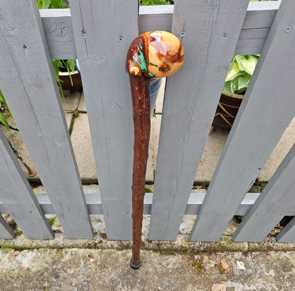 Irish blackthorn walking stick/shillelagh 564lf