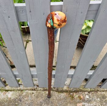 Irish blackthorn walking stick/shillelagh 564lf