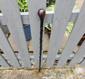 LIGHTWEIGHT IRISH BLACKTHORN WALKING STICK IDEAL FOR DOG WALKING 567EW